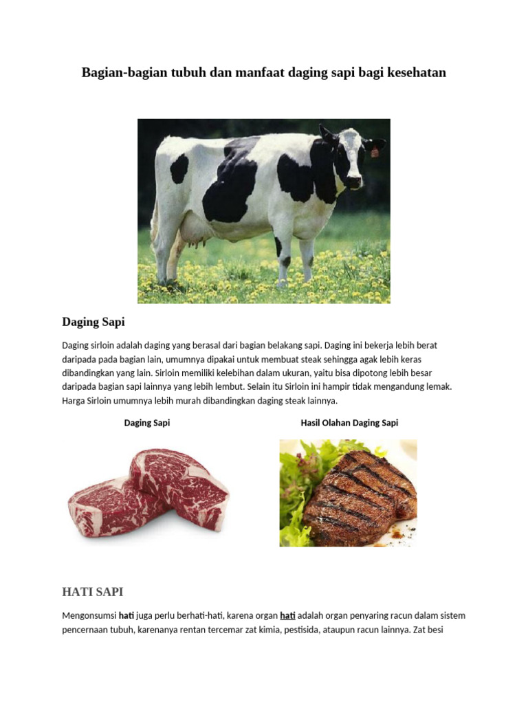 PBM - Bagian Daging Sapi | PDF