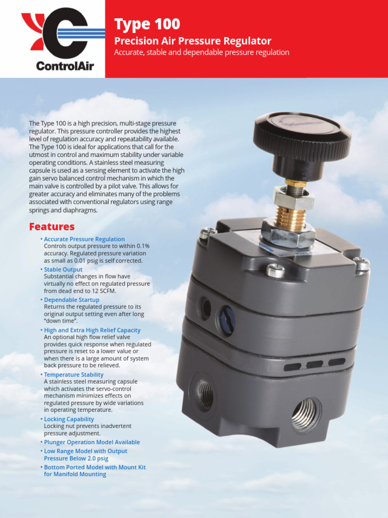 100_spec | PDF | Valve | Accuracy And Precision
