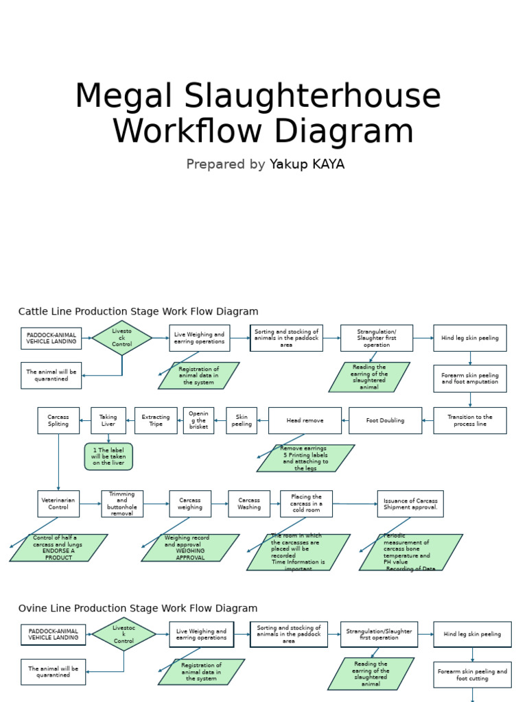Megal Slaughterhouse Workflow Overview | PDF | Refrigeration