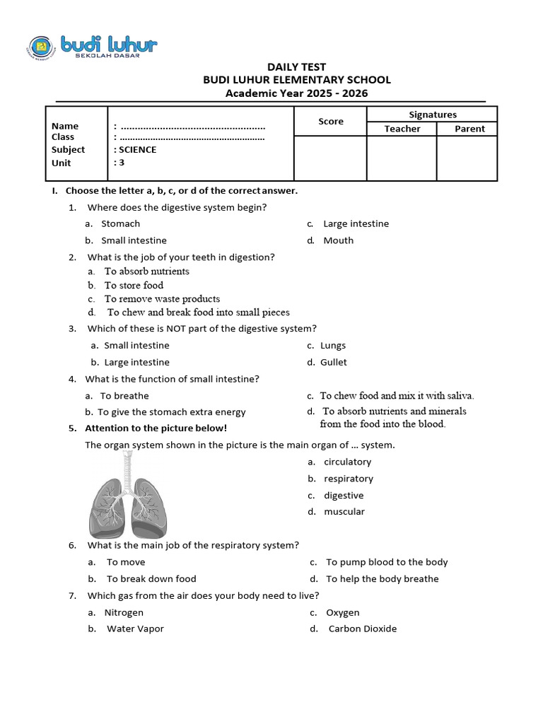 Daily Science Test for Elementary Students | PDF | Digestion ...