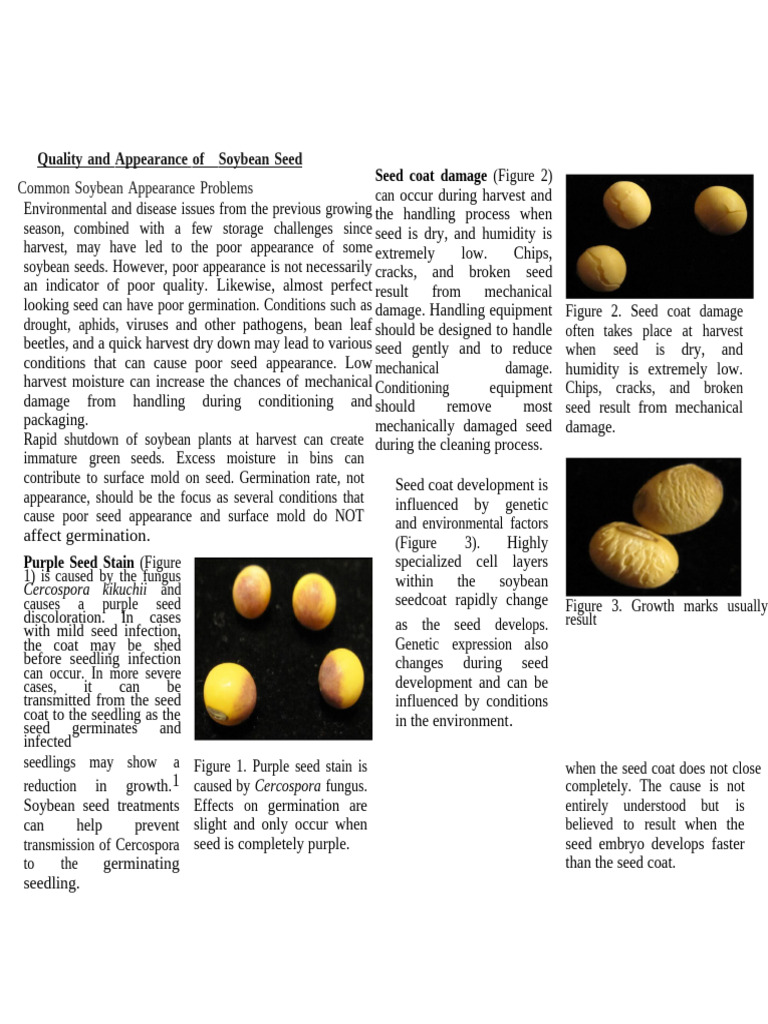 Quality and Appearance of Soybean Seed-Kruger | PDF | Seed | Soybean