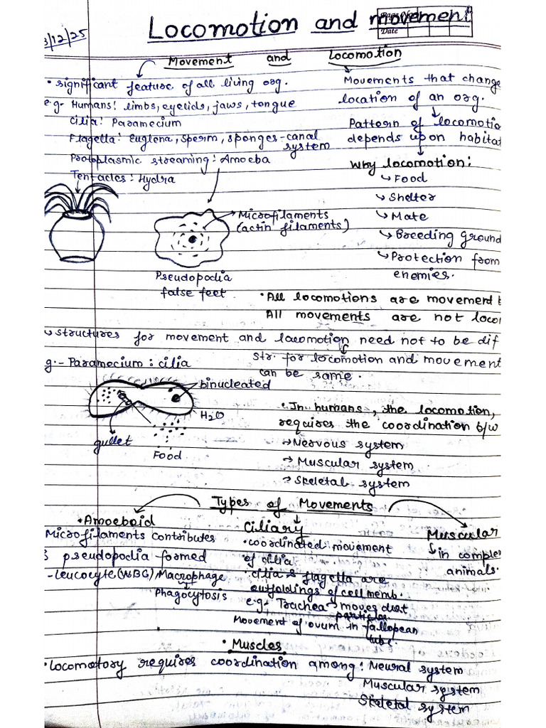 Locomotion and Movement Notes | PDF