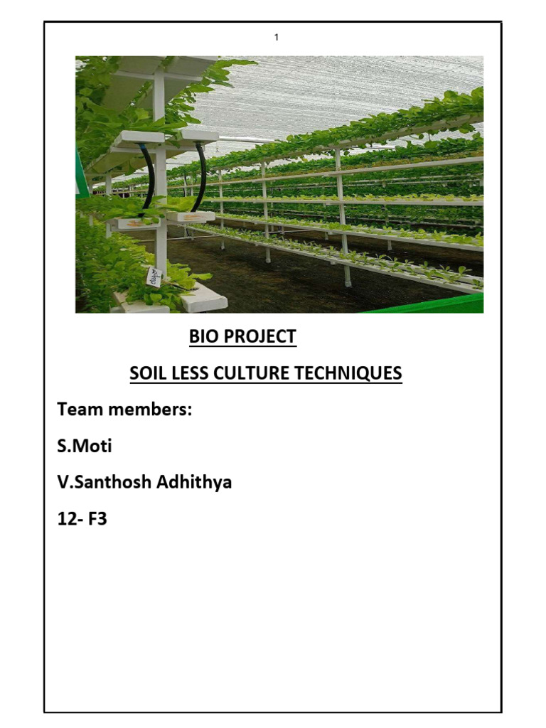 Biology Project 2 | PDF