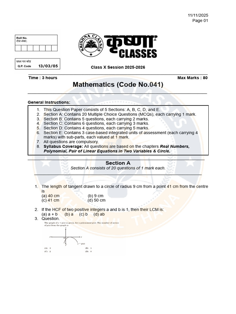 Class X Mathematics Exam Paper 2025 | PDF | Polynomial | Equations