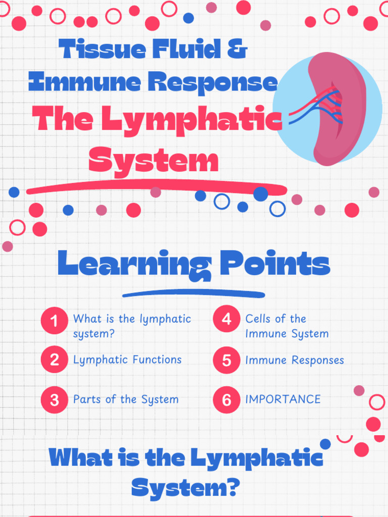 Understanding the Lymphatic System | PDF | Lymphatic System | Lymph Node