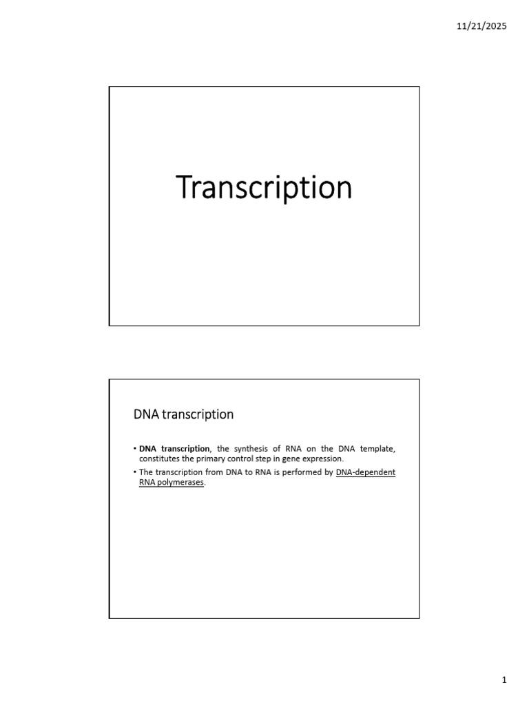 DNA Transcription and RNA Polymerases | PDF | Ribosomal Rna | Messenger Rna