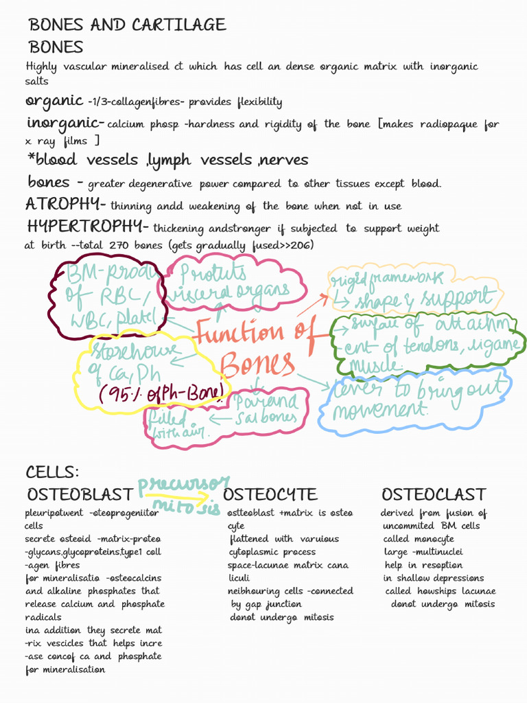 Notes 251123 131528 | PDF