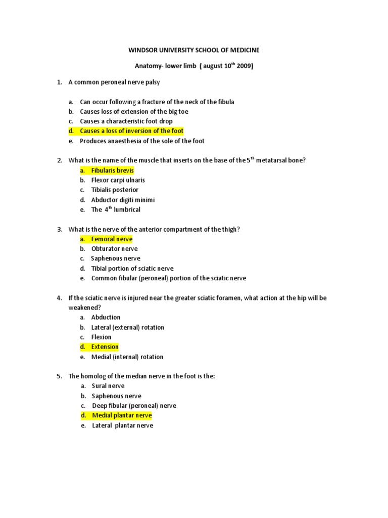 Lower Limb Anatomy MCQs and Answers | PDF | Human Leg | Knee