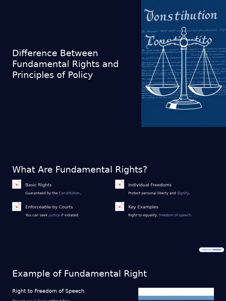 Fundamental Rights vs. Principles of Policy | PDF | Freedom Of Speech ...