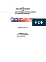 Grand Project: "Product Stratagy of Private Life Insurance Company''