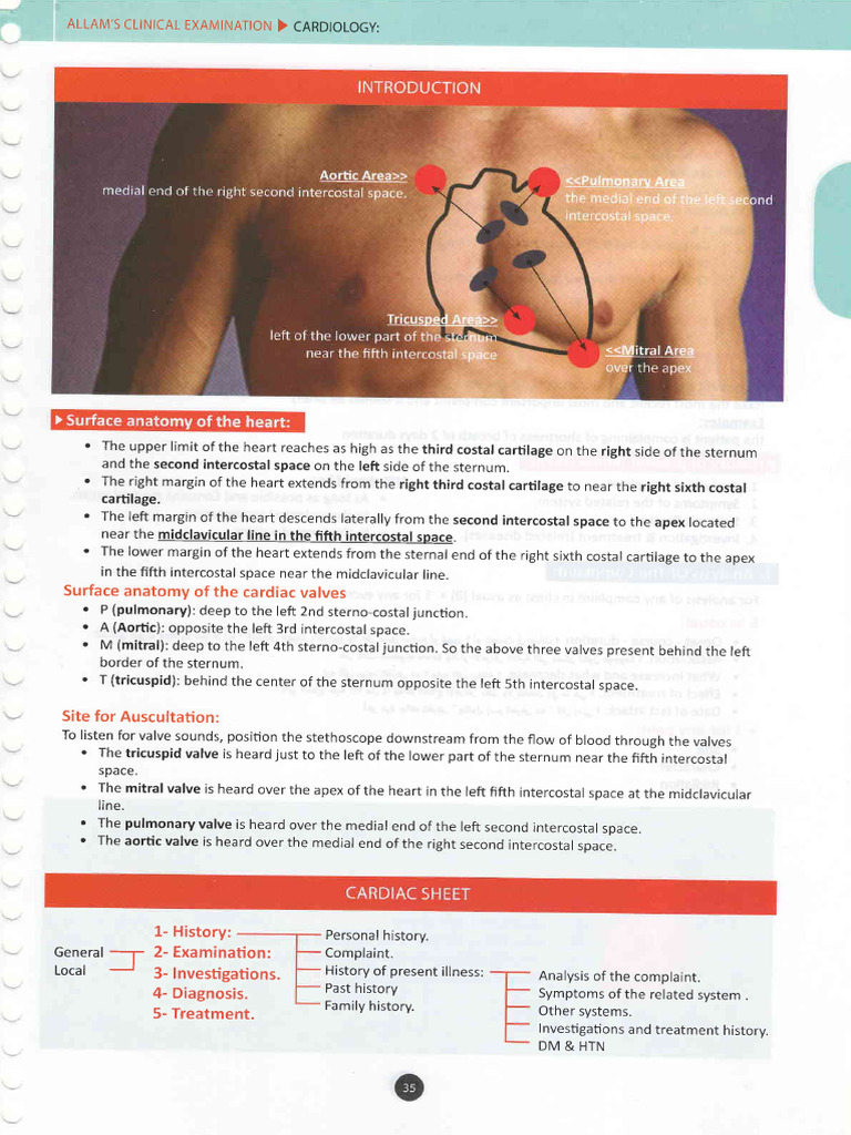 Cardiology Clinical Examination Guide | PDF | Pulse | Heart Valve