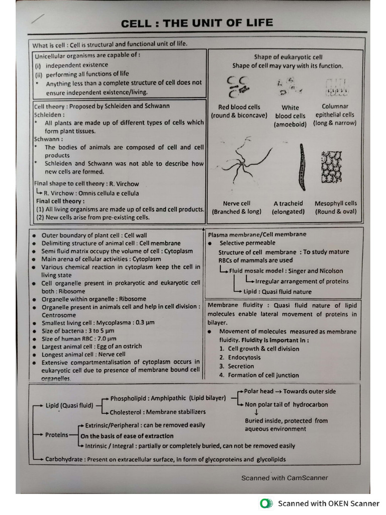 Unit - Cell (Short Notes) | PDF