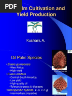 Download Oil Palm Cultivation  by shini1308 SN97172276 doc pdf