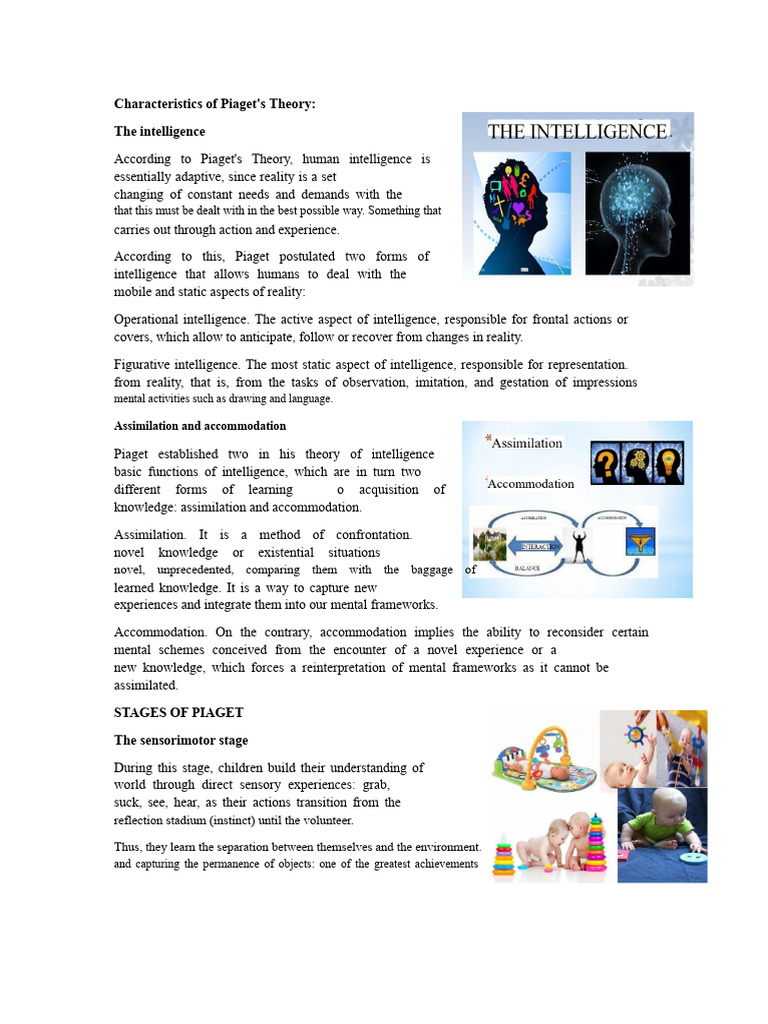 Characteristics of Piaget's Theory | PDF | Cognition | Mental Processes