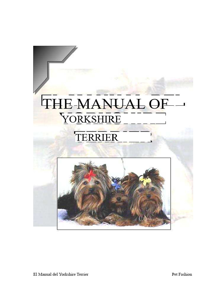 Yorkshire Terrier Care and Guide | PDF | Yorkshire Terrier | Dogs