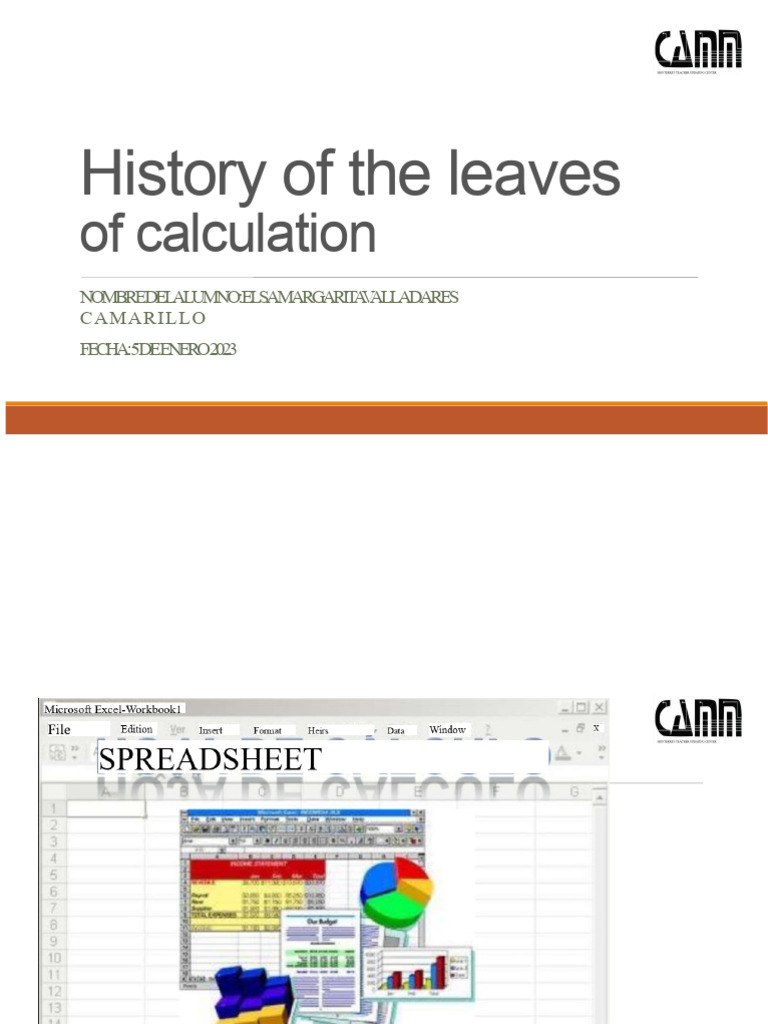 History of Spreadsheet Software | PDF | Spreadsheet | Microsoft Excel