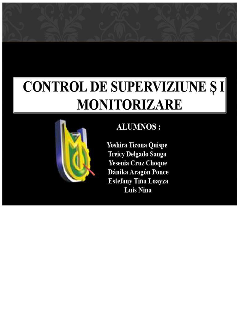 Control Intern Supervizare Sau Monitorizare | PDF