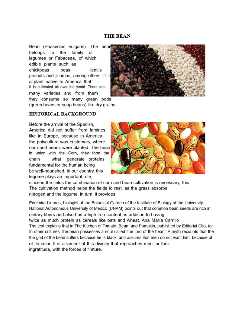 Comprehensive Guide to Beans | PDF | Legume | Bean