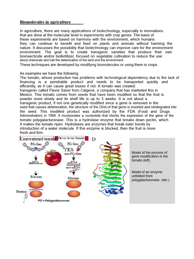 Biotechnology and Biomolecules in Agriculture | PDF | Genetically ...