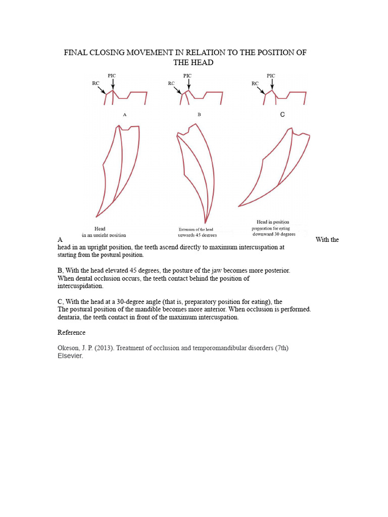 Posselt Diagram in Relation To Head Position - Johann Solorzano | PDF