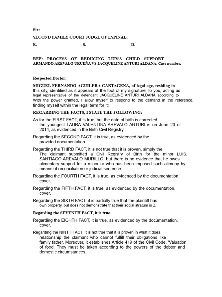 Child Support Reduction Case Response | PDF | Child Support | Lawsuit