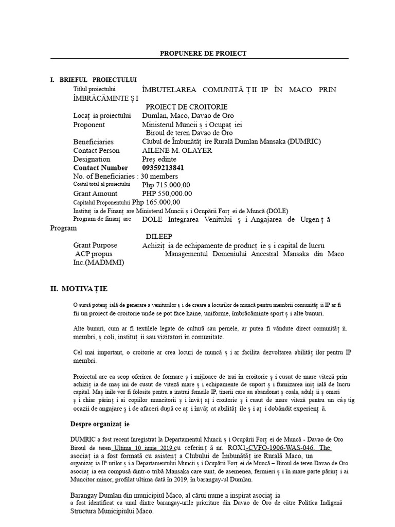 Propunerea de Proiect Pentru Îmbrăcăminte Finală1 | PDF
