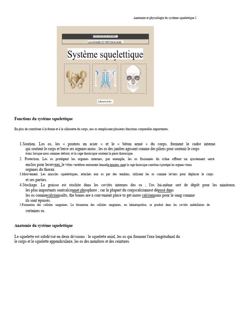 Anatomie et fonctions du système squelettique | PDF | Vertèbre ...