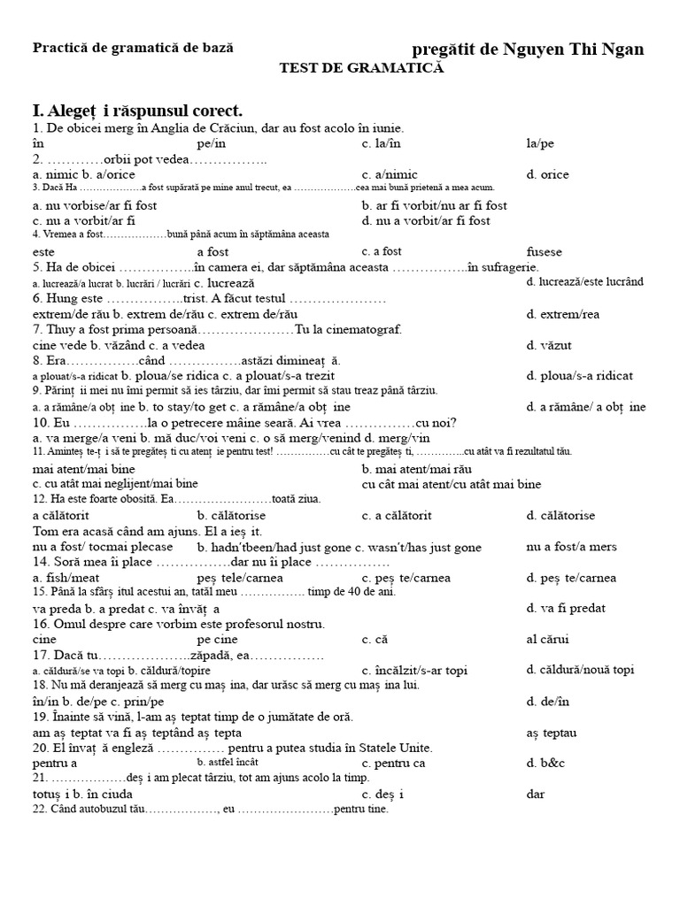 Test de Gramatică de Bază | PDF
