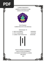 Download Praktikum Bk Karir WARNI by Ardana SuBagia SN97177124 doc pdf