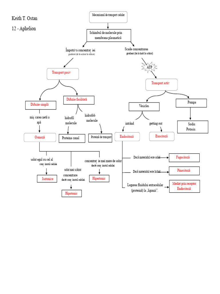 Harta Conceptuală | PDF
