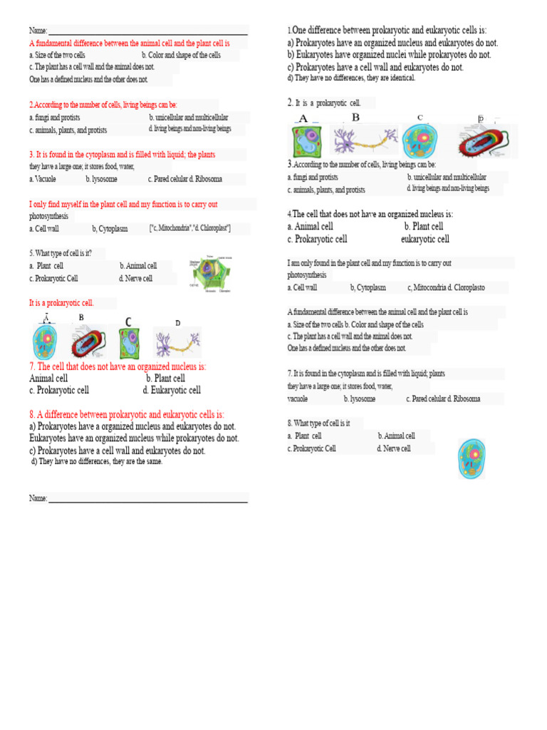 Differences Between Animal and Plant Cells | PDF | Cell (Biology ...
