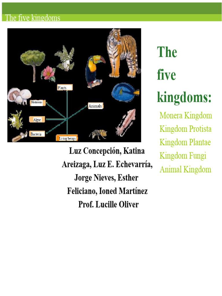 The 5 Kingdoms | PDF | Fungus | Taxonomy (Biology)