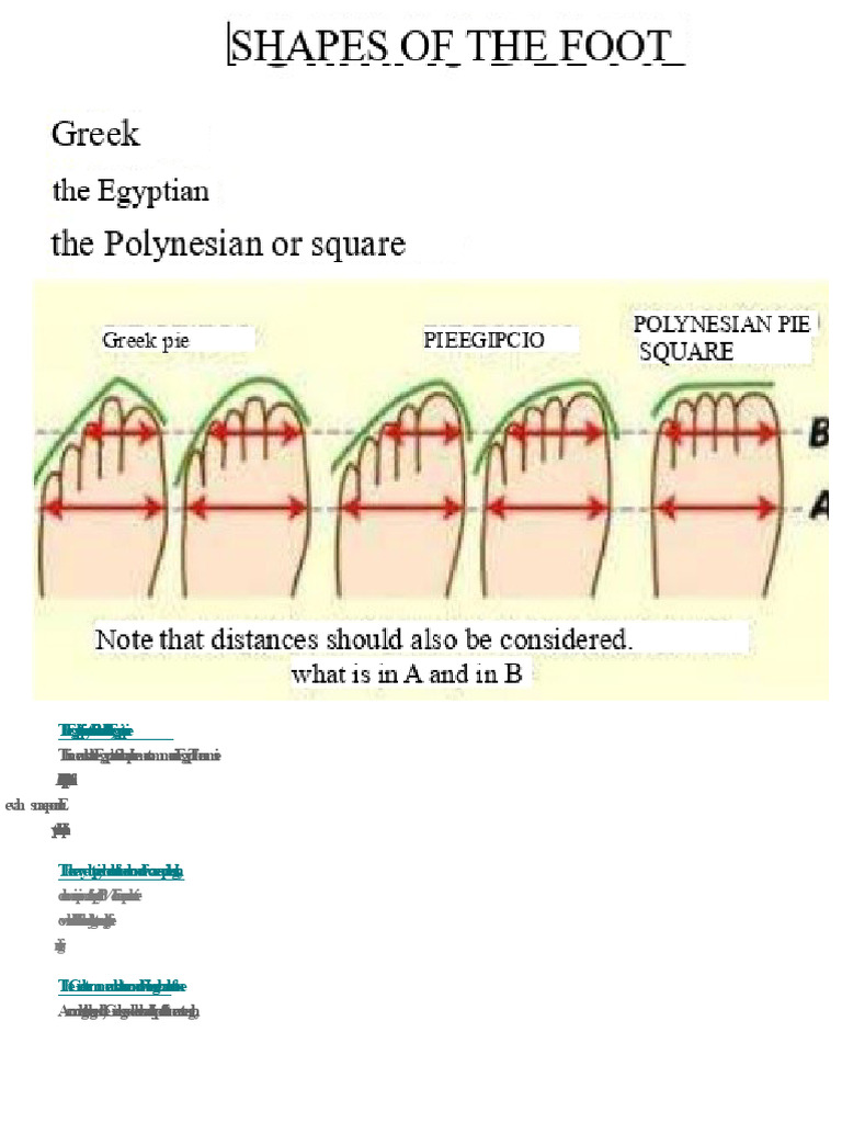 Understanding Foot Shapes: Egyptian vs. Greek | PDF | Foot | Lower Limb ...