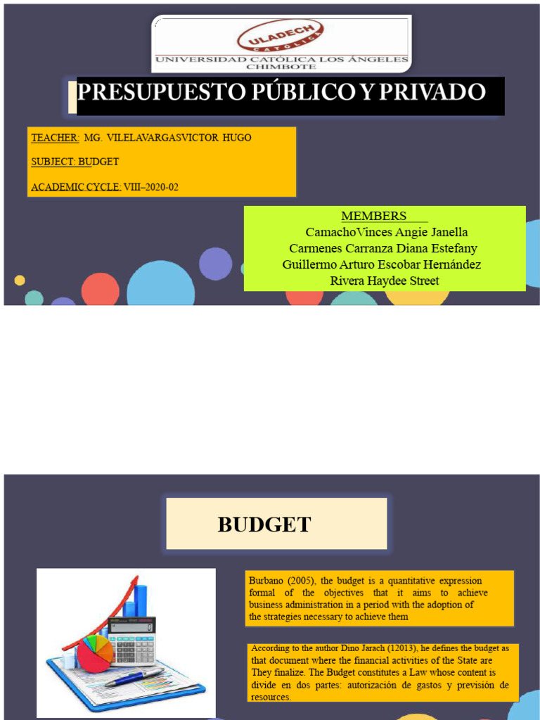 Understanding Public and Private Budgets | PDF | Budget | Government Budget