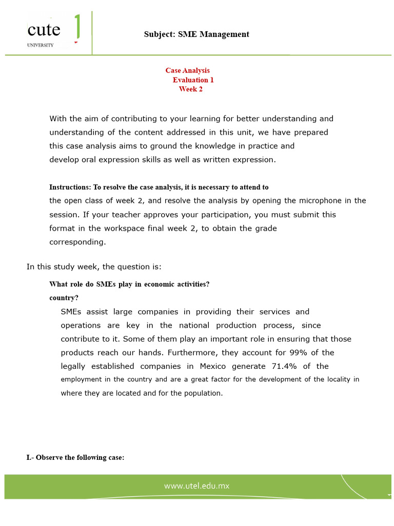 SME Management - Evaluation 1 - P | PDF | Economies