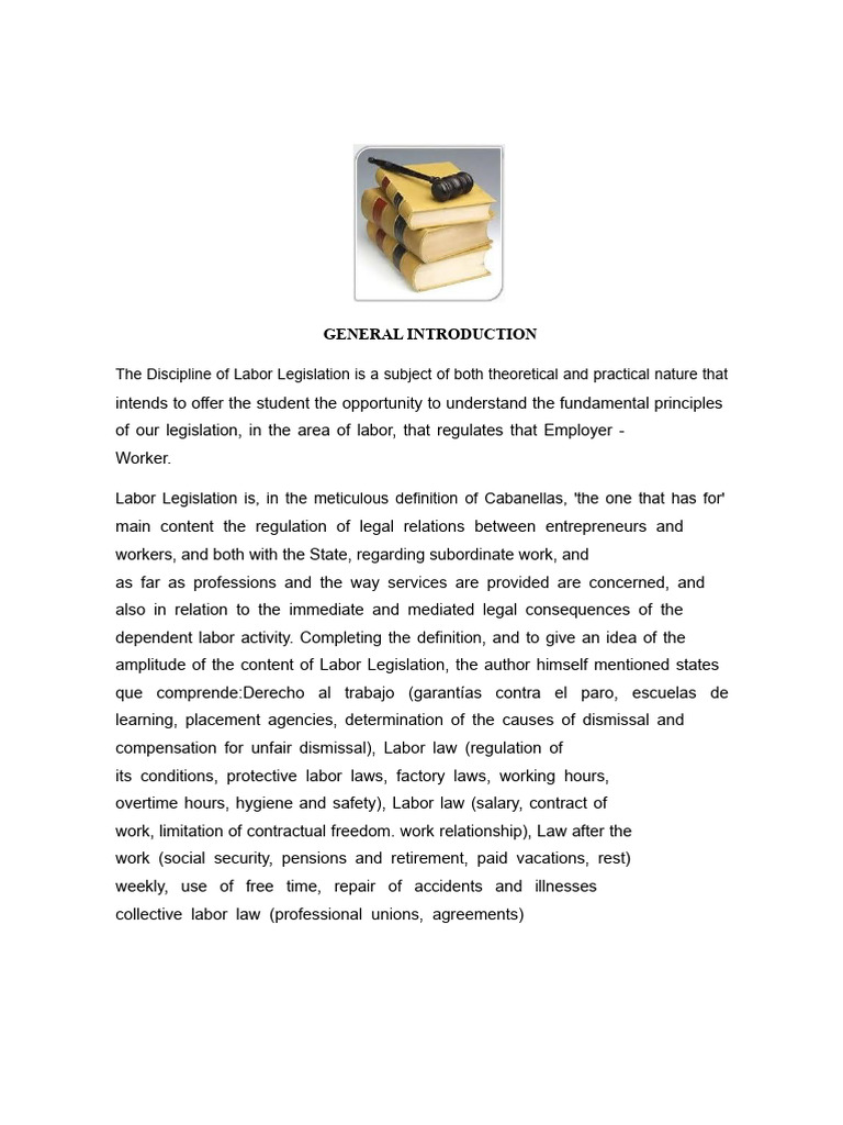 Overview of Labor Legislation Principles | PDF | Labour Law | Employment