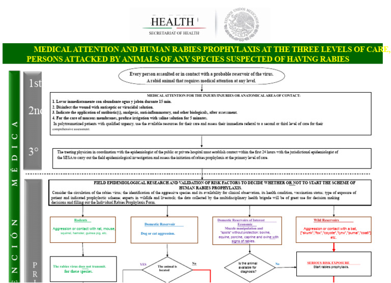 Final version of the RABIA Flow Diagram | PDF | Rabies | Epidemiology