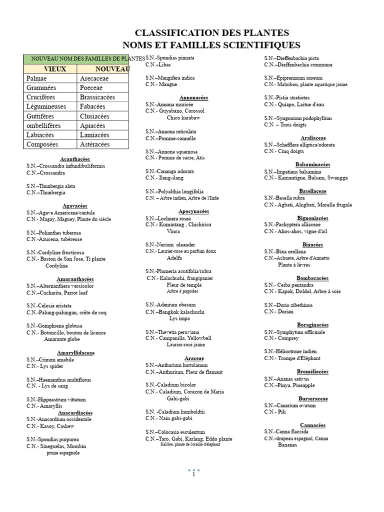 Classification des Plantes et Noms Scientifiques | PDF | Palmiers | Plantes