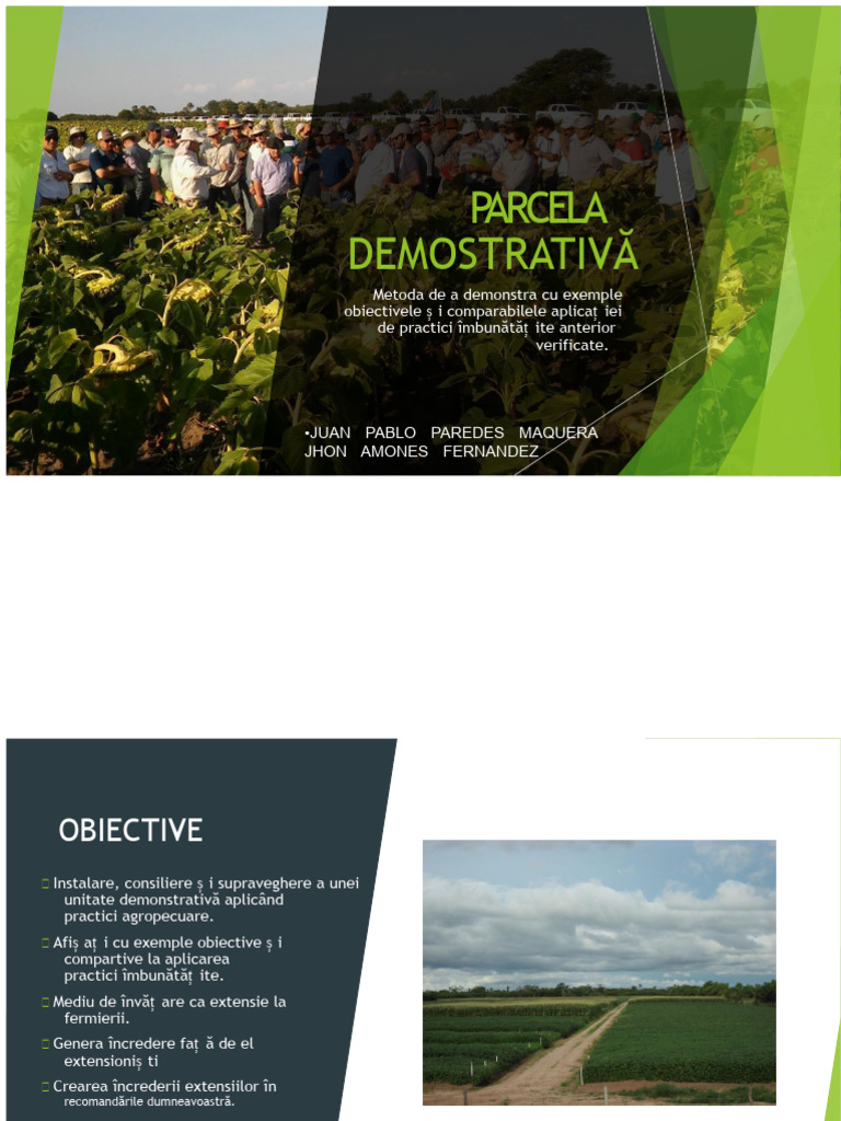 Parcela Demonstrativă | PDF