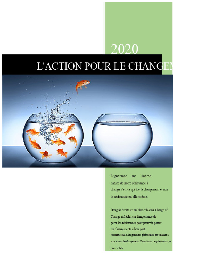 Gestion du changement en entreprise | PDF | Business | Banques