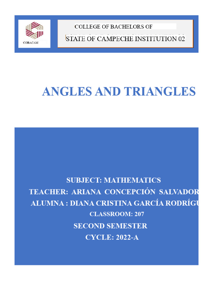 Understanding Angles and Triangles | PDF | Triangle | Euclidean Plane ...