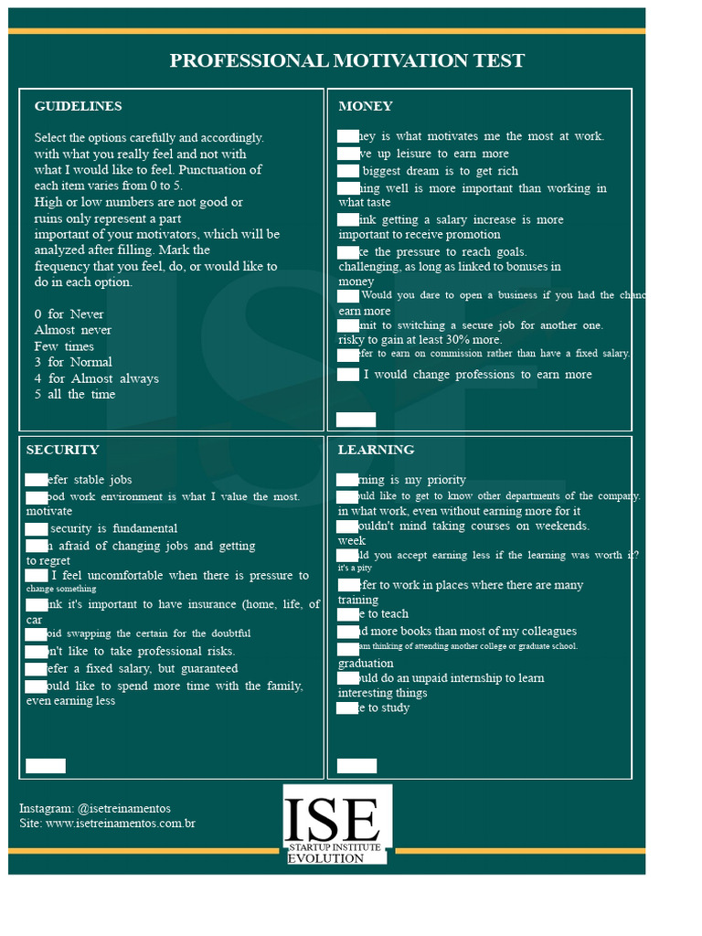 Professional Motivation Assessment Guide | PDF | Motivation | Motivational