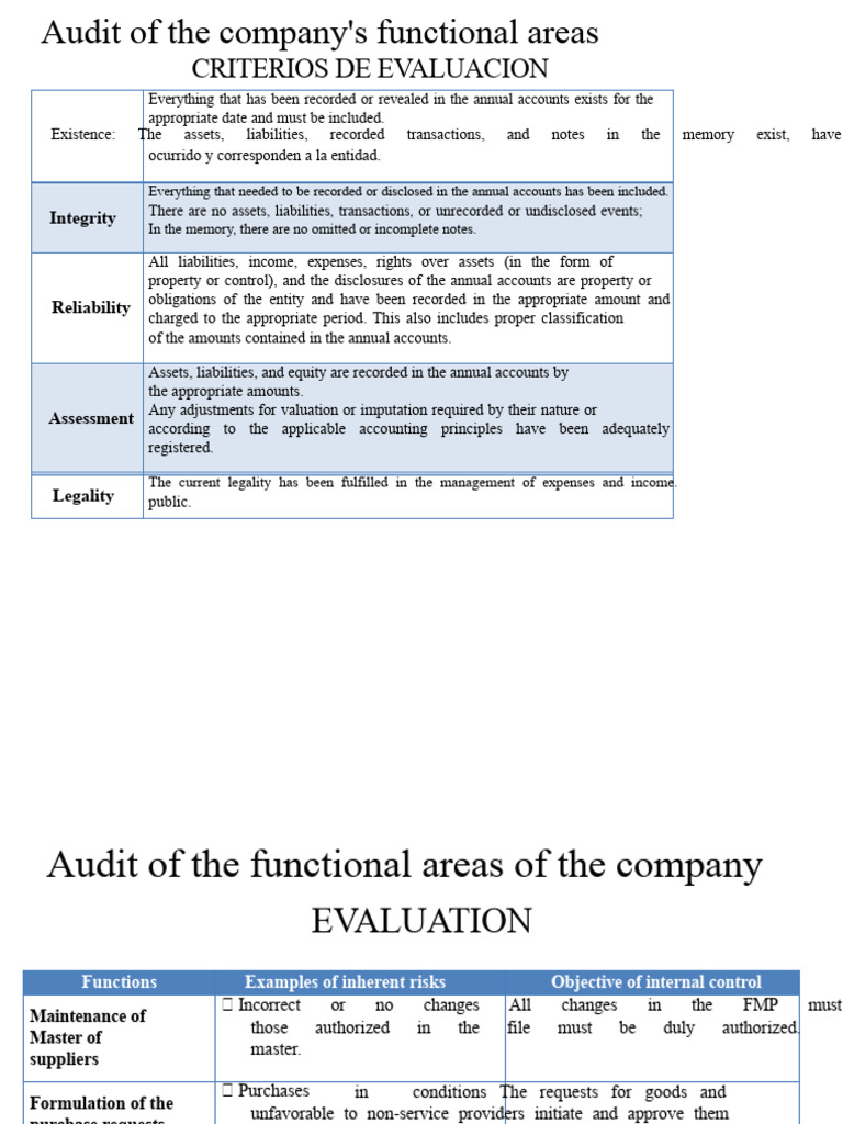 Company Functional Areas Audit Report | PDF | Audit | Internal Control