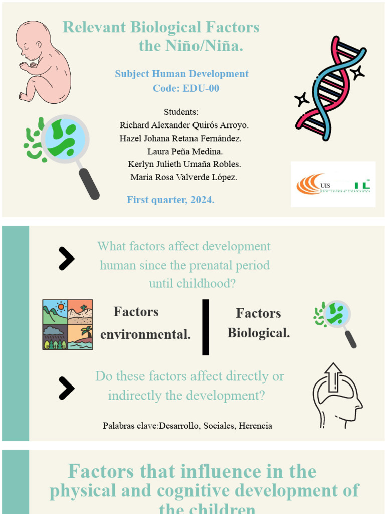 Biological Factors in Human Development | PDF | Prenatal Development ...