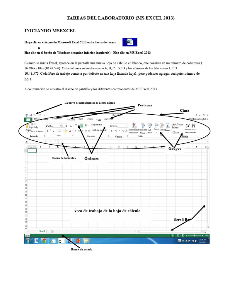 Tareas Básicas en MS Excel 2013 | PDF | Microsoft Excel | Hoja de cálculo