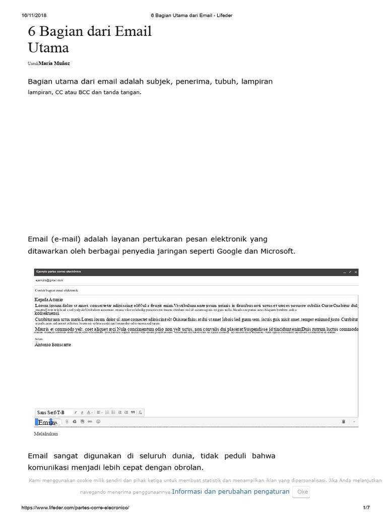 6 Elemen Penting dalam Email | PDF