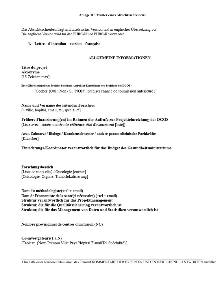 Anlage II - Muster Absichtserklärung | PDF