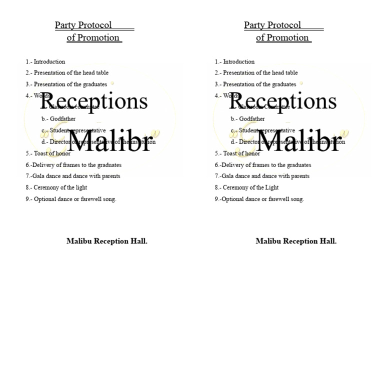 Promotion Party Protocol (1) | PDF