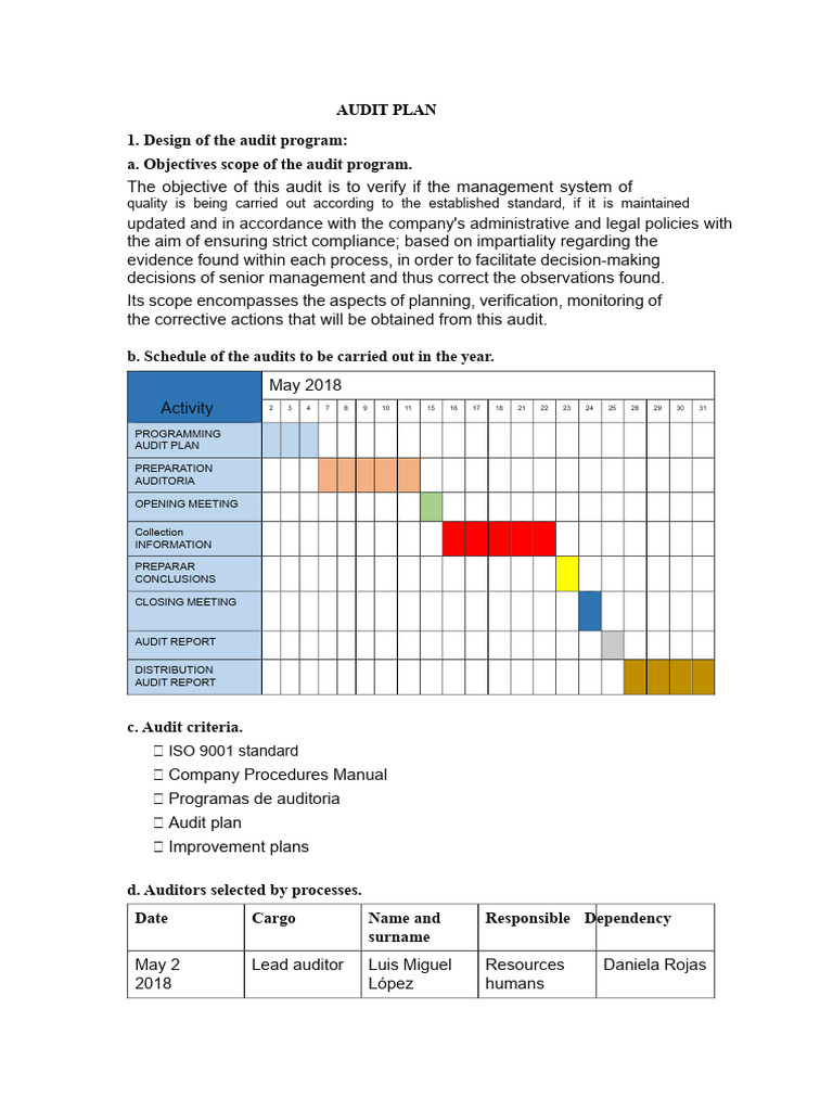 Comprehensive Audit Plan Overview | PDF | Audit | Business