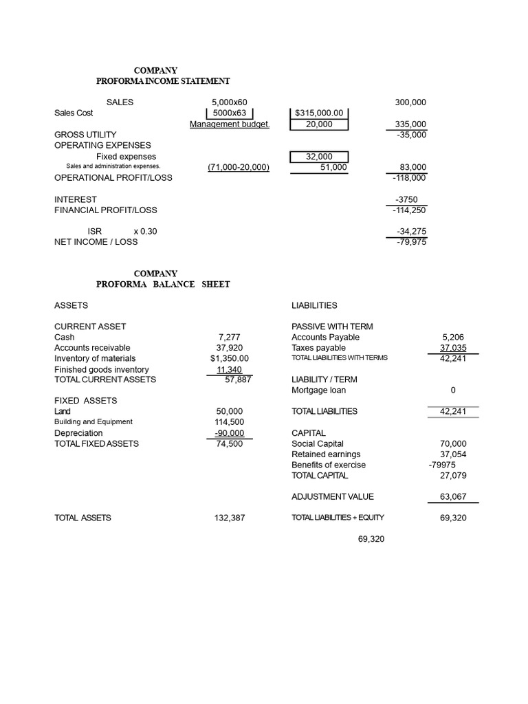 Proforma Financial Statements Overview | PDF | Expense | Pro Forma
